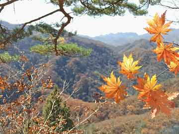 罗马第一季在线全集免费观看完整高清,稳定解答诠释分析_28km995.339.51