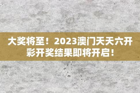 2024年新澳门天天彩资料