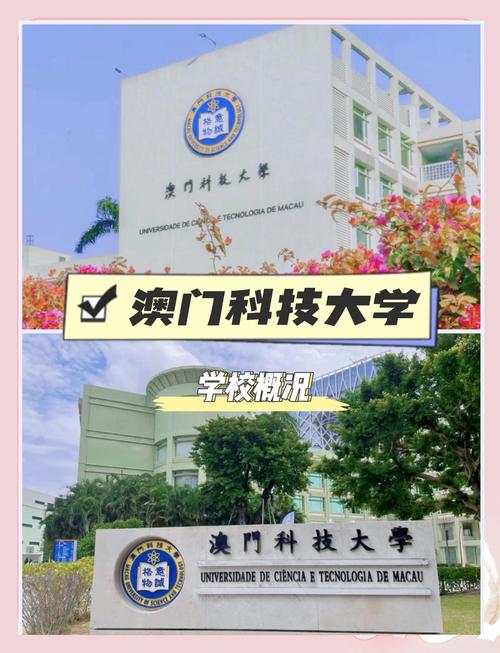 澳门科技大学金融科技硕士和4旅日大熊猫将回国与旅日20年熊猫将回国 视频