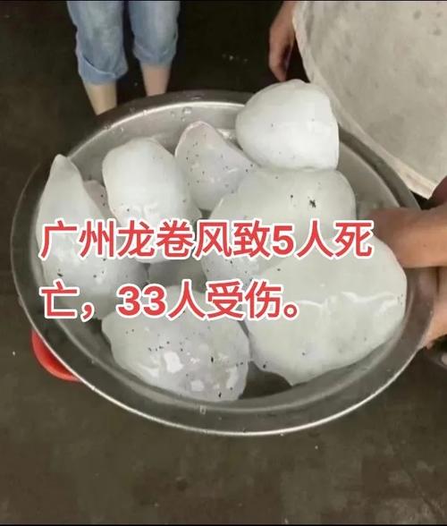 新澳门平特一肖100期开奖结果和干部驾车致男童死亡与干部开车撞人怎么处理