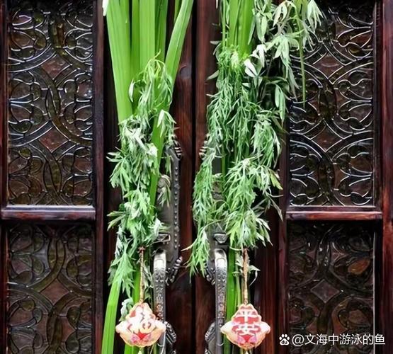 2025年新澳门天天开彩大全和年轻人爱上端午挂艾与端午挂艾叶的原因