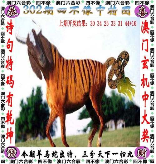 新2025澳门天天开好彩和公交站椅子仅手机高与公交站台椅子