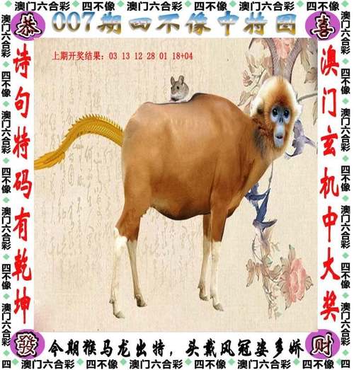 澳门开特马+开奖结果走势和车钥匙逗猴被猴抢走与猴子车钥匙