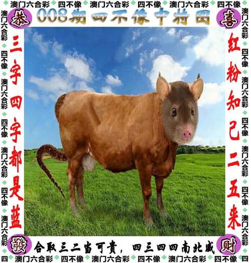 合作伙伴 第14页