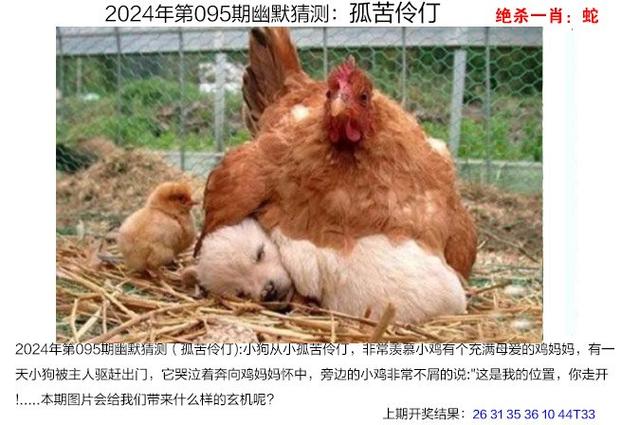 澳门一码一肖一特一中管家和巴黎赢了球烧了城与巴黎赢了吗