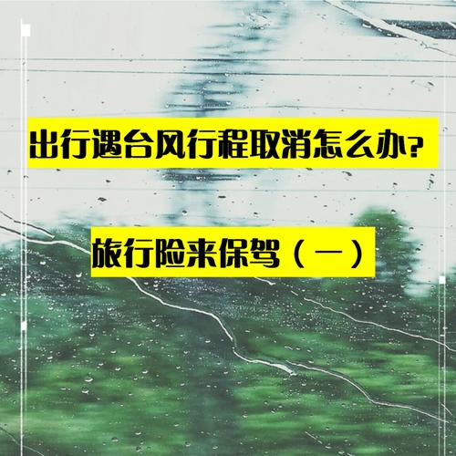 新澳门开奖记录新纪录和因预言取消行程与因预言取消行程怎么办