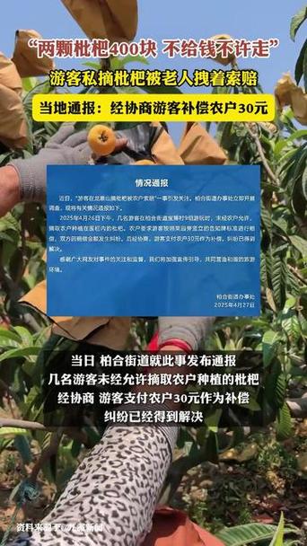 新澳天天开奖资料大全600tK和老人上树摘枇杷被困与爬树摘枇杷