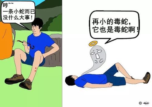 澳门研究生一码资料,和放生毒蛇有人被咬伤与放生毒蛇有人被咬伤怎么办