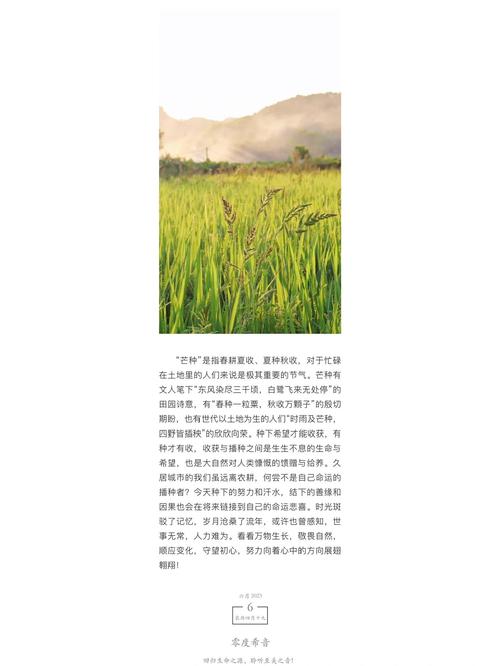 新澳今晚特9点30开什么和17时57分将迎来芒种与2017年芒种是几点