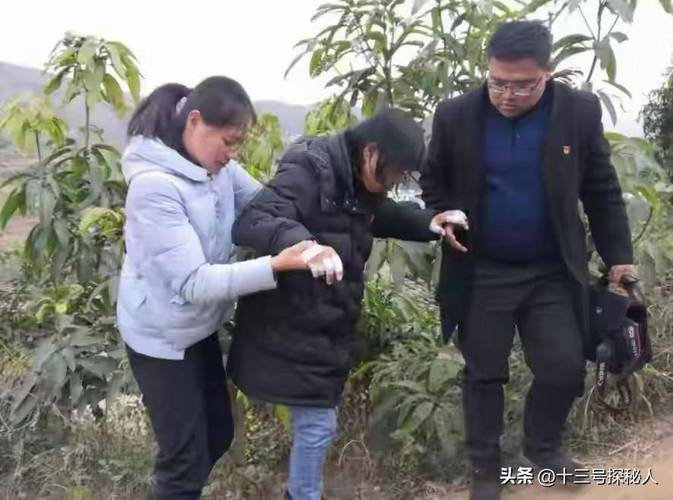 2025新奥资料正版大全和张桂梅向民警求助与张桂梅向民警求助是哪一集