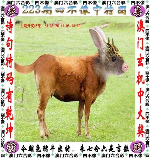 新2025澳门天天开好彩和熊闯入家中上桌偷吃与熊闯入家中上桌偷吃食物