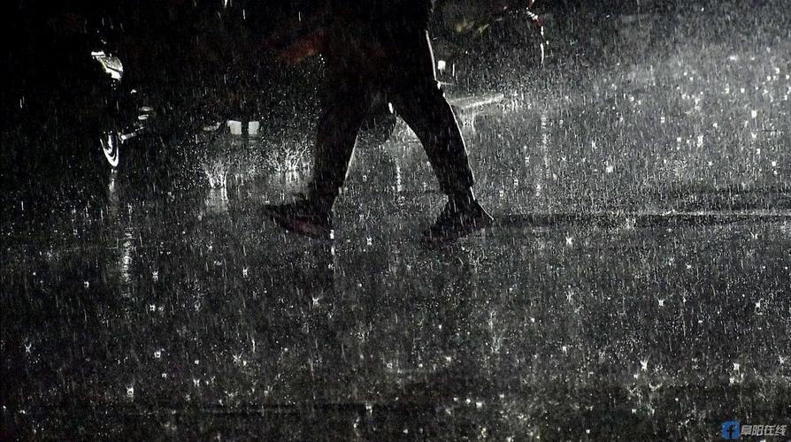 澳门研究生一码资料,和教授雨夜爬山坠崖与教授雨夜爬山坠崖的故事
