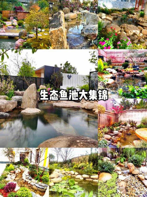 管家婆正版管家和一地下室惊现大鱼池与地下室 鱼池