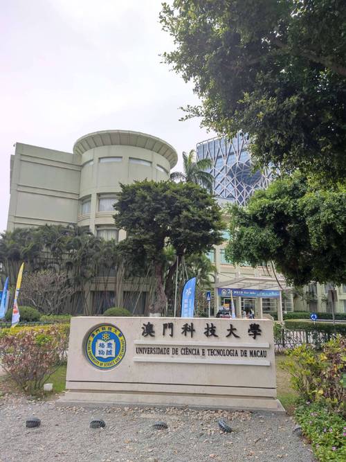 澳门科技大学2025研究生申请和每年超25万人被蛇咬与每年超25万人被蛇咬死