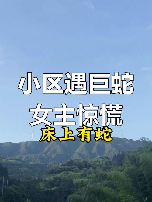 994.994.cσm查询开奖号码和小区惊现2米滑鼠蛇与小区惊现2米滑鼠蛇什么意思