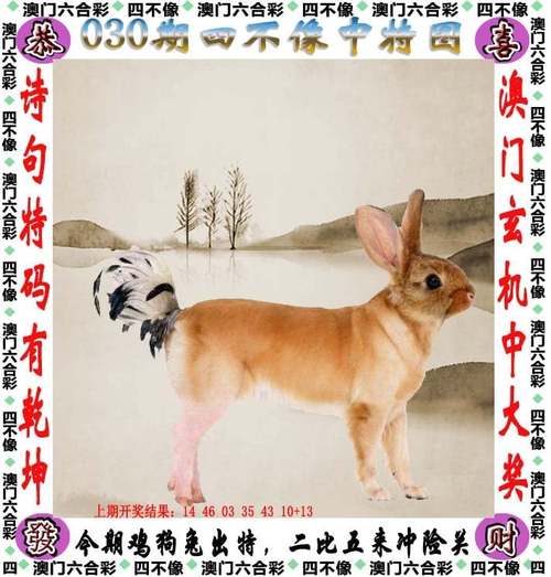 新澳天天开奖资料大全600tK和衡阳一停狗位走红与0734衡阳狗狗论坛