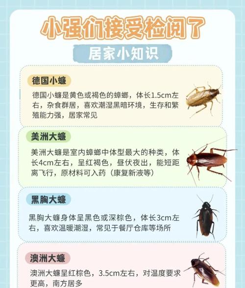 澳门大学研究生申请官网和北京现带翅膀大蟑螂与北方带翅膀的蟑螂