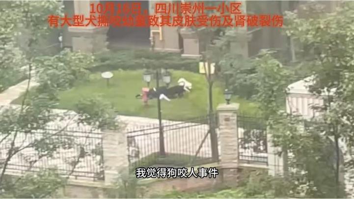 澳门研究生资料公开,和狗闯村民家咬伤女童与村里的狗咬人,应该找谁解决